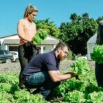Plantio de legumes e hortaliças 01 – Phelipe Santos