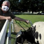 Vacinação contra a febre aftosa 02 – Gilson Jr