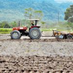 Atividade de saúde para os agricultores 02 – Phelipe Santos