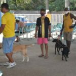 vacinação raiva magé – Foto Phelipe Santtos (1)