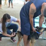 vacinação raiva magé – Foto Phelipe Santtos (7)