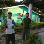 compra-coletiva-de-mudas-de-palmito-003