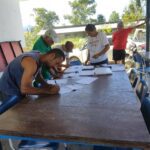 Compra coletiva de mudas de palmito 04