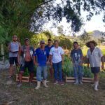 Compra coletiva de mudas de palmito 05