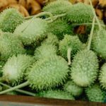 Legumes 02