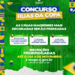 COPA DO MUNDO FEED