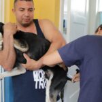 Vacinação antirrábica em Magé Fotos Gilson Jr. (1)