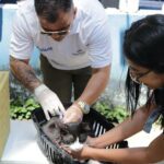 Vacinação antirrábica em Magé Fotos Gilson Jr. (8)