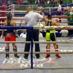 PAN DE KICKBOXING (1)