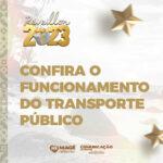 TRANSPORTE-FEED_02_02