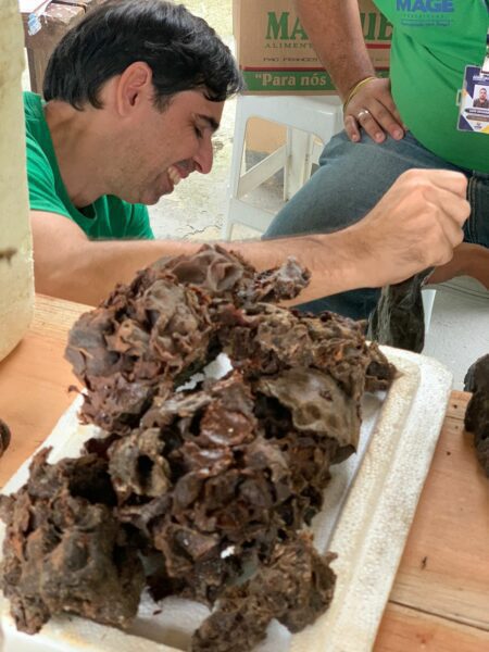 WhatsApp Image 2023-05-19 at 10.17.22