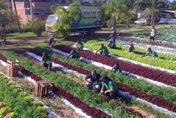 DIA MUNDIAL DA AGRICULTURA: MAGÉ PREPARA AÇÃO SOCIAL PARA OS AGRICULTORES