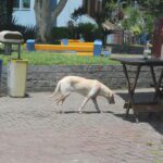 IMG_1645