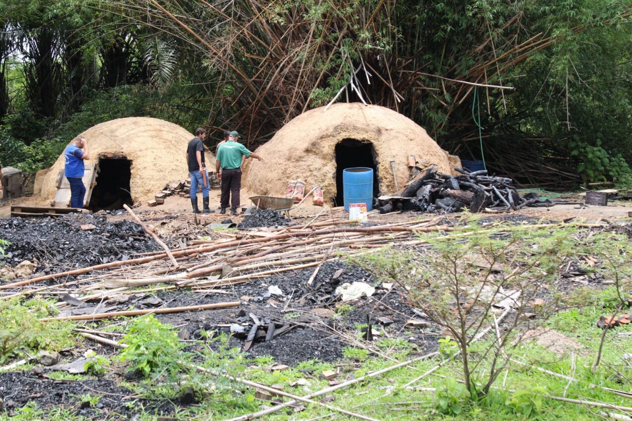 Ação integrada encontra carvoaria clandestina com trabalhadores em condições precárias no Parque Estrela, em Magé